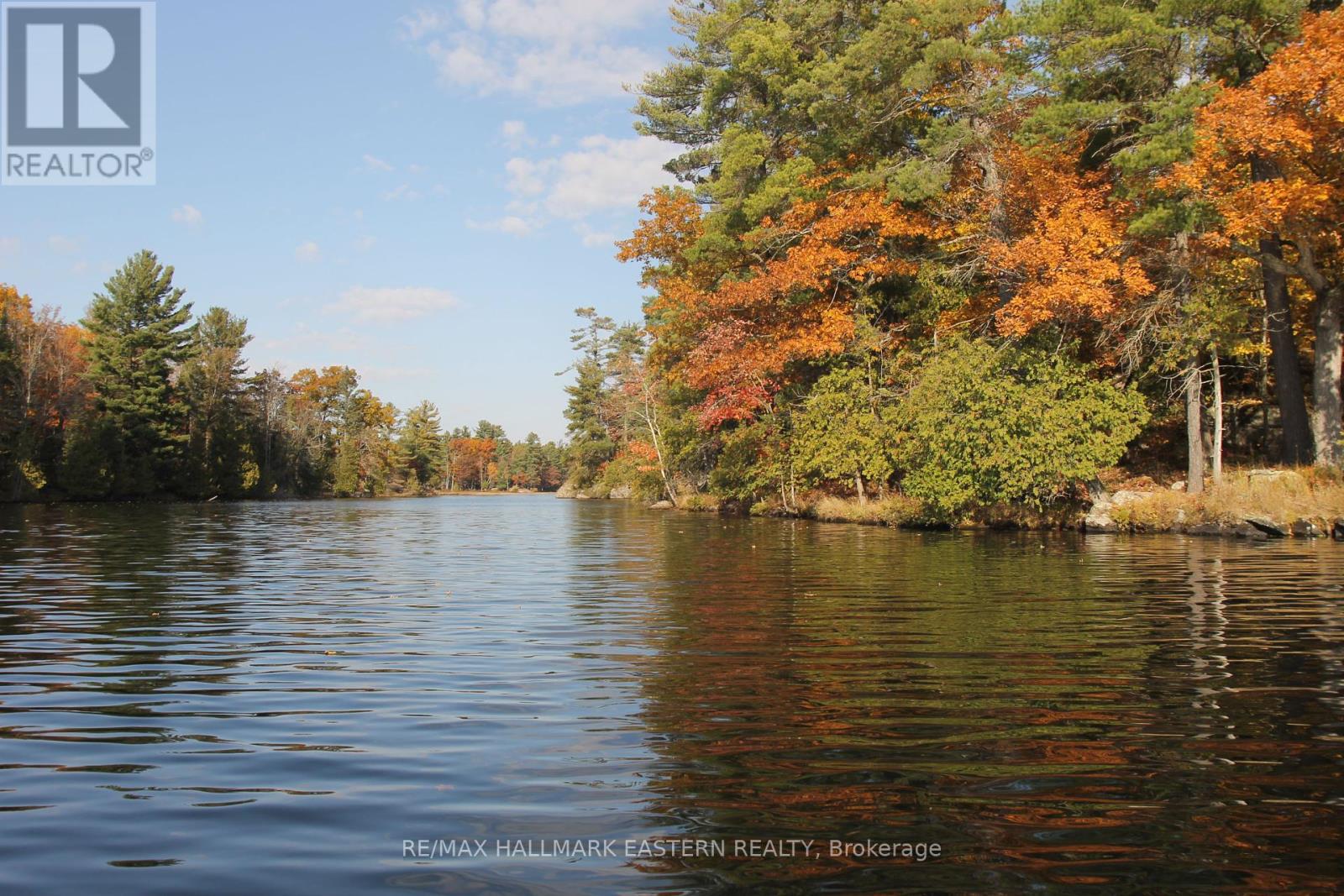 Lots123 - C280 Lower Buckhorn Lake, Galway-Cavendish And Harvey, Ontario  K0L 1J0 - Photo 3 - X9510150