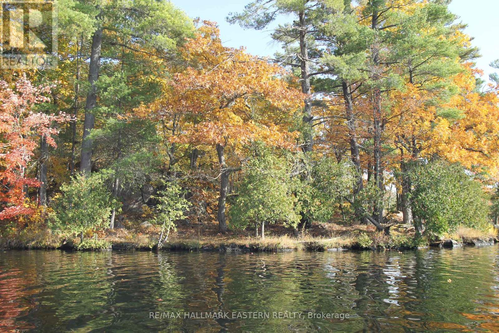 Lots123 - C280 Lower Buckhorn Lake, Galway-Cavendish And Harvey, Ontario  K0L 1J0 - Photo 4 - X9510150