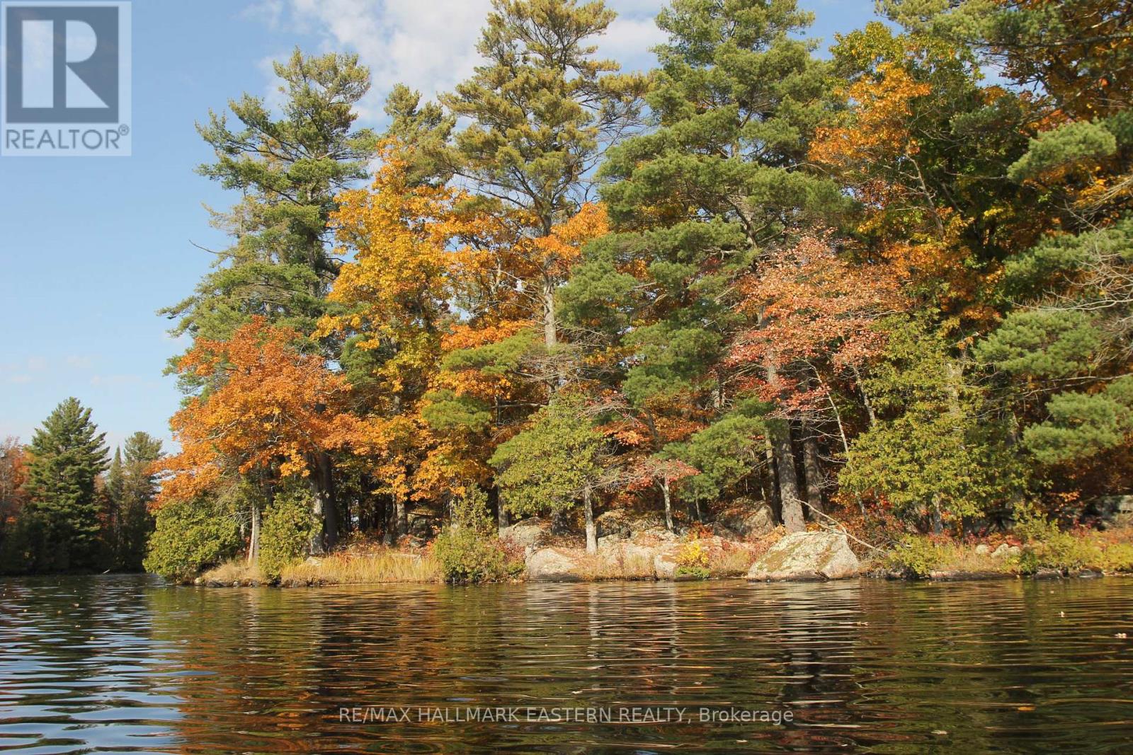 Lots123 - C280 Lower Buckhorn Lake, Galway-Cavendish And Harvey, Ontario  K0L 1J0 - Photo 5 - X9510150