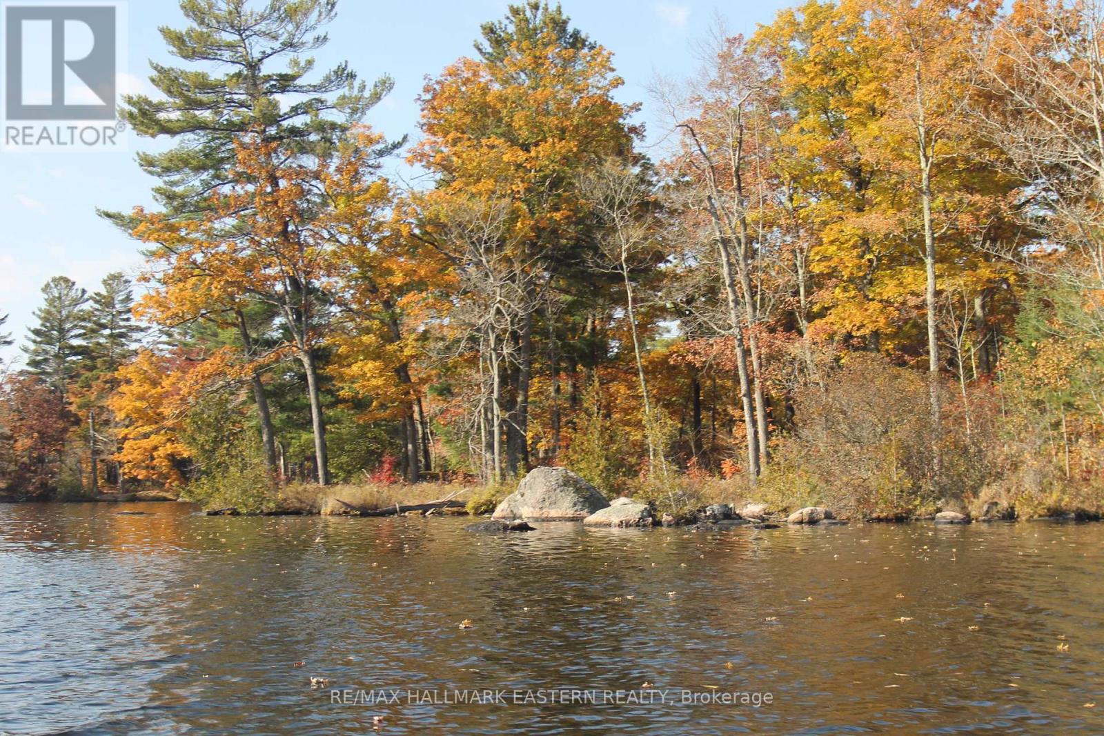 Lots123 - C280 Lower Buckhorn Lake, Galway-Cavendish And Harvey, Ontario  K0L 1J0 - Photo 6 - X9510150