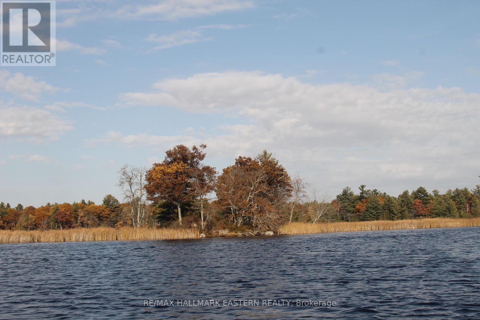 Lots123 - C280 Lower Buckhorn Lake, Galway-Cavendish And Harvey, Ontario  K0L 1J0 - Photo 7 - X9510150