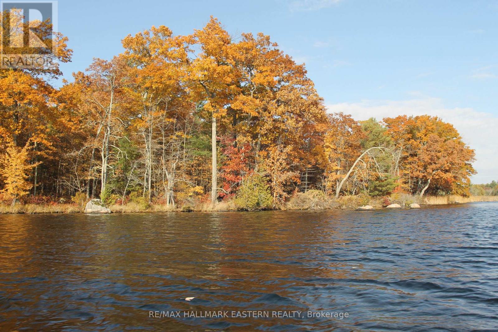 Lots123 - C280 Lower Buckhorn Lake, Galway-Cavendish And Harvey, Ontario  K0L 1J0 - Photo 8 - X9510150