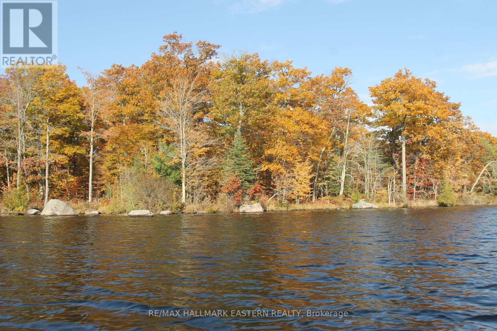 Lots123 - C280 Lower Buckhorn Lake, Galway-Cavendish And Harvey, Ontario  K0L 1J0 - Photo 9 - X9510150