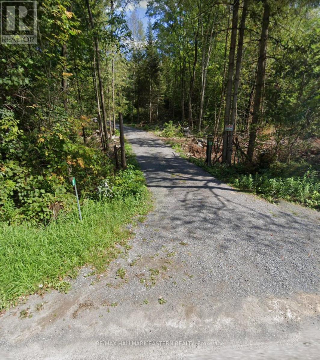 31 3rd Line, Havelock-Belmont-Methuen, Ontario  K0L 1Z0 - Photo 16 - X9514521