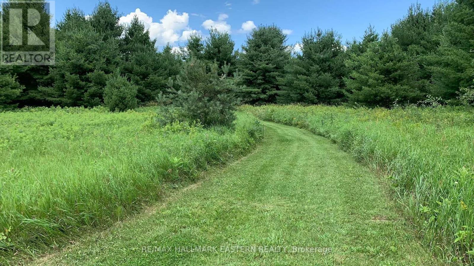 31 3rd Line, Havelock-Belmont-Methuen, Ontario  K0L 1Z0 - Photo 17 - X9514521