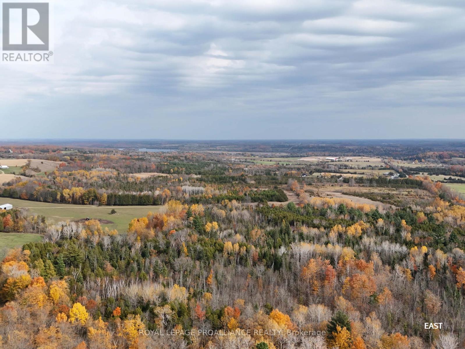 00 9th Line W, Part 1, Trent Hills (Campbellford), Ontario  K0L 1L0 - Photo 7 - X9769827