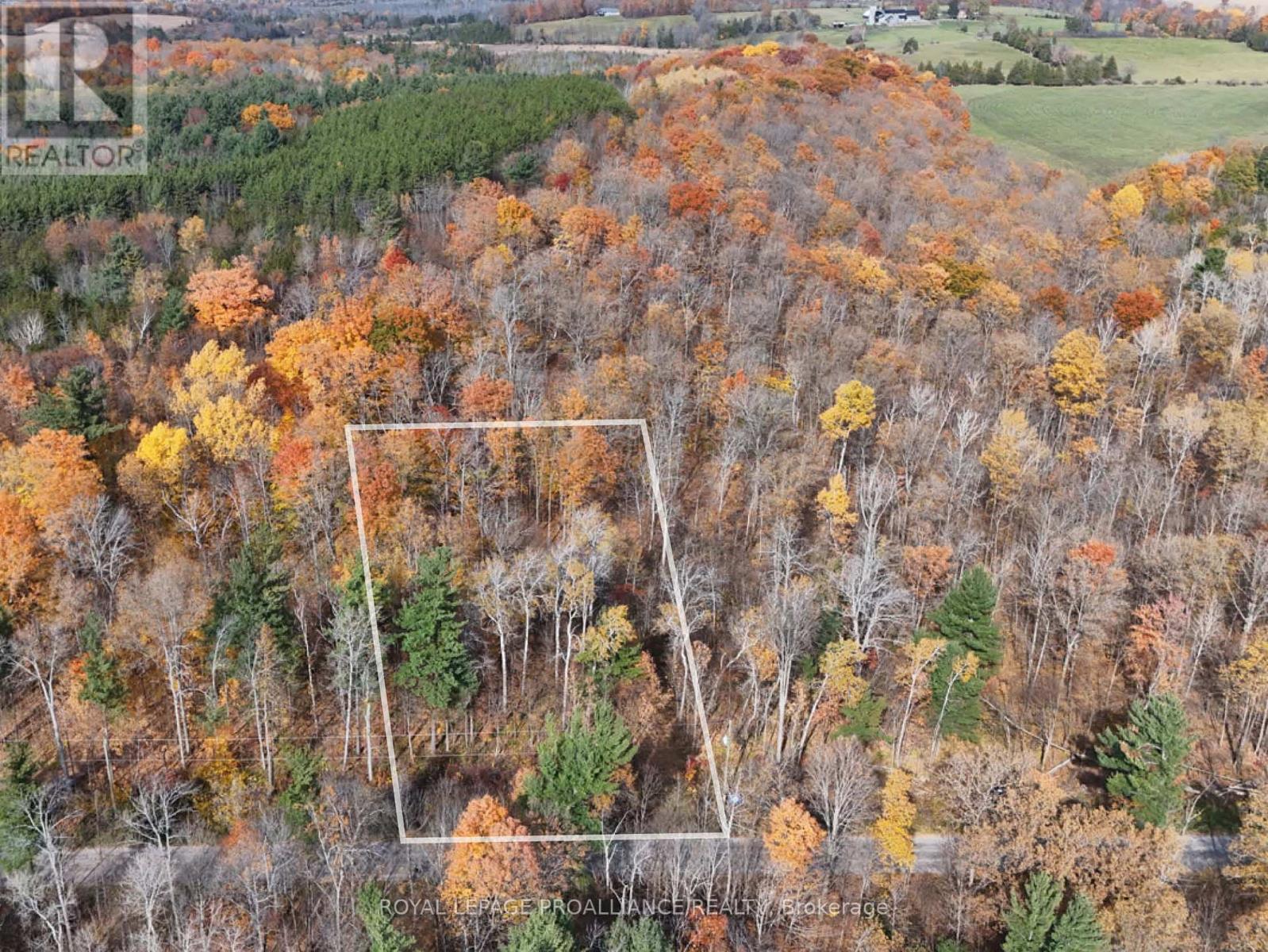 00 9th Line W, Part 2, Trent Hills (Campbellford), Ontario  K0L 1L0 - Photo 1 - X9769870