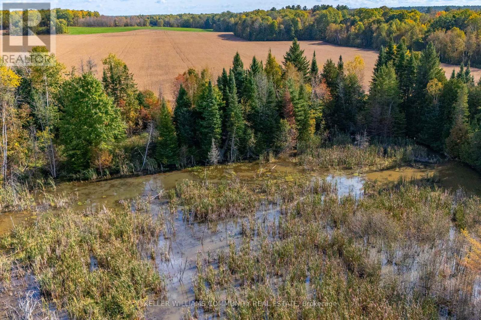 1012 12th Line W, Trent Hills, Ontario  K0L 1Y0 - Photo 26 - X9770429