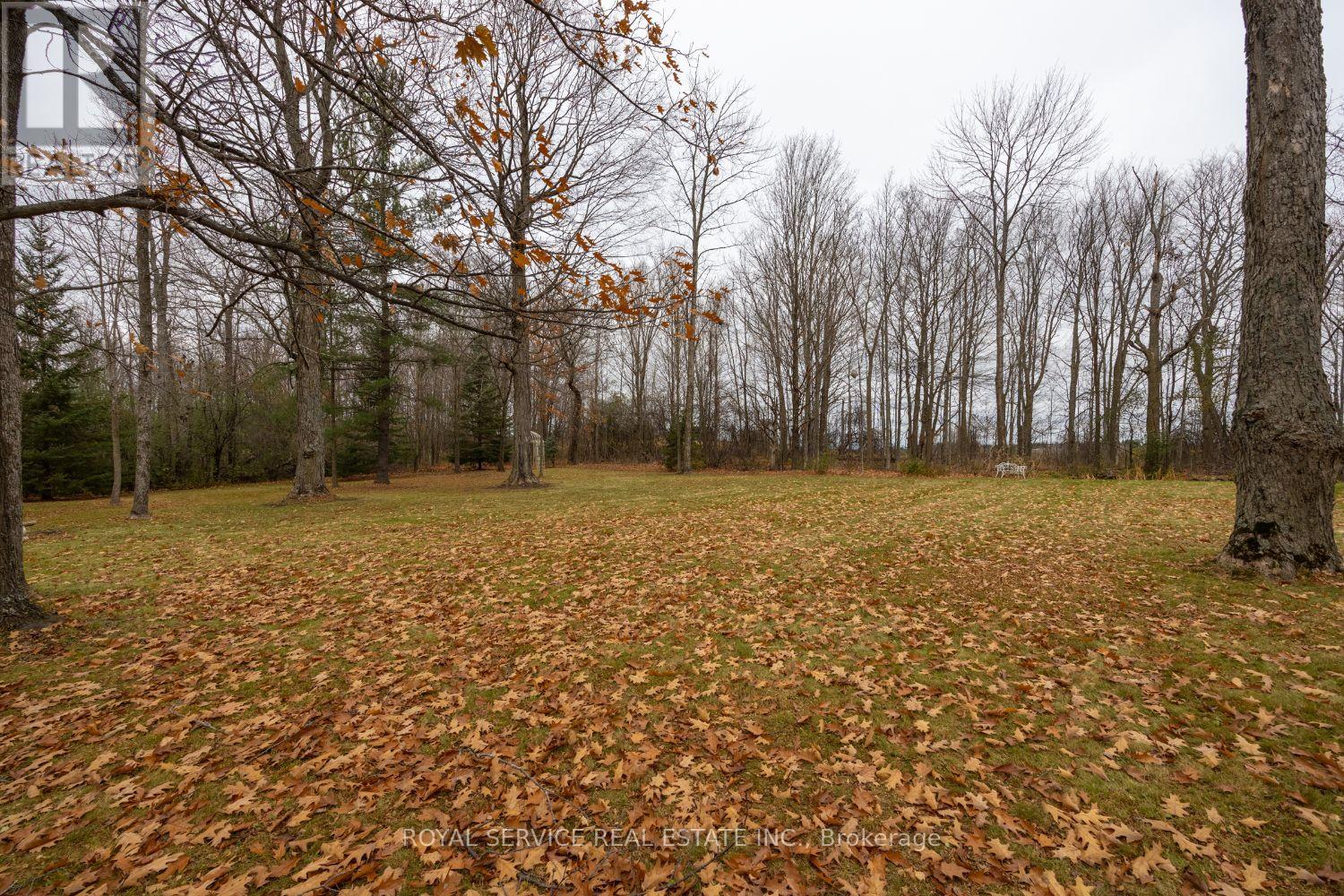 582 Wilson Line, Cavan Monaghan, Ontario  L0A 1C0 - Photo 39 - X10249973