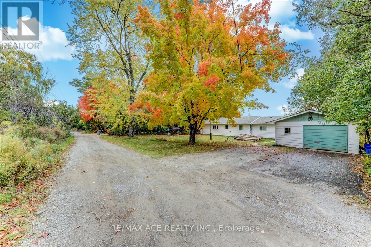 28 Osprey Road, Kawartha Lakes, Ontario  K9V 4R5 - Photo 3 - X10406682