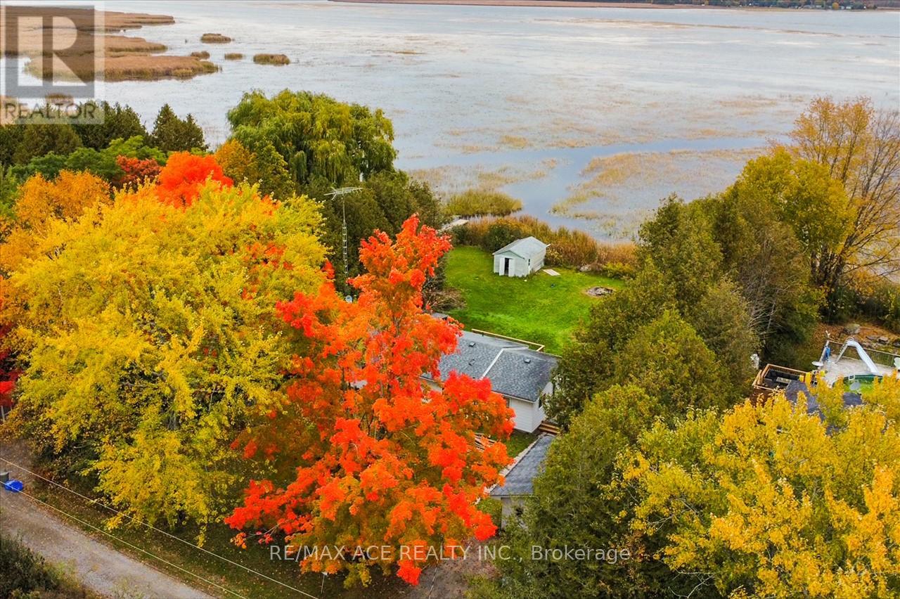 28 Osprey Road, Kawartha Lakes, Ontario  K9V 4R5 - Photo 5 - X10406804