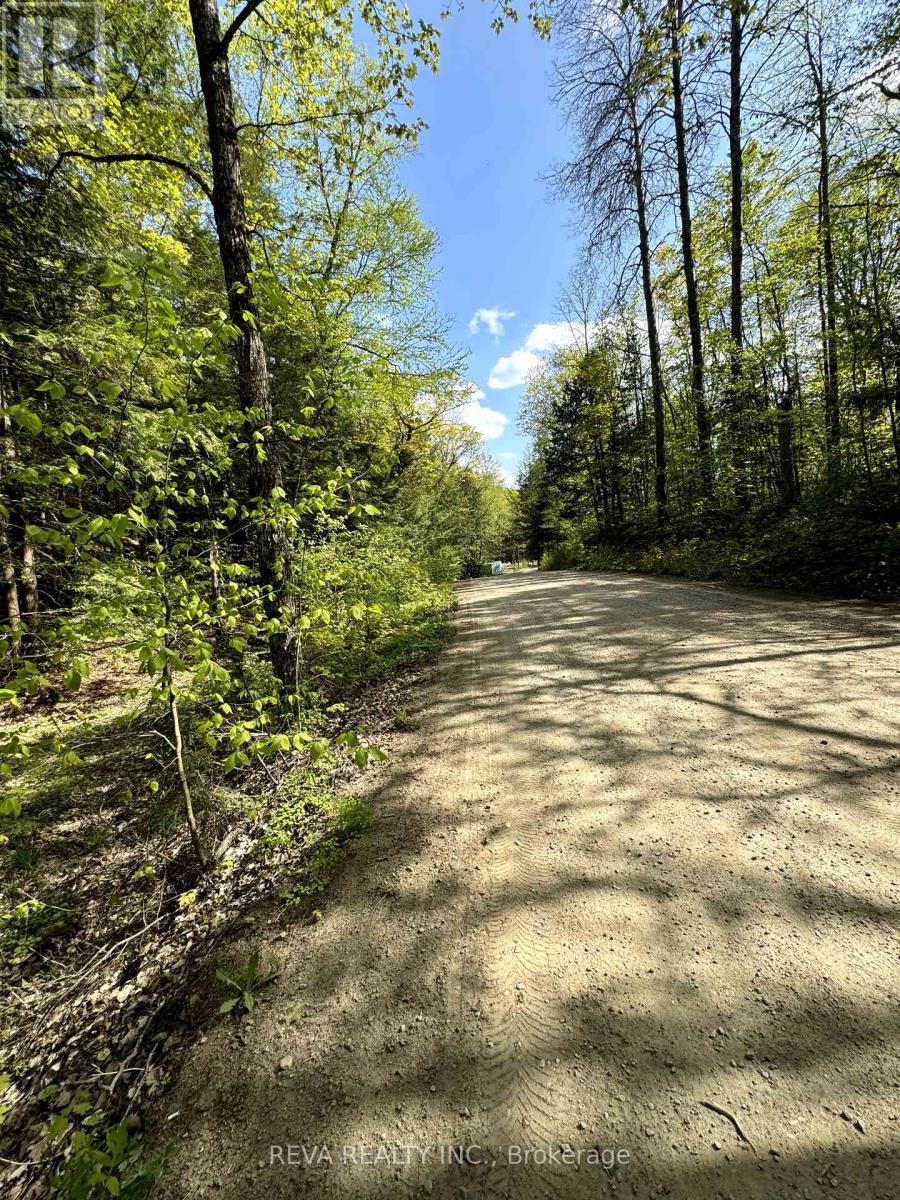 0 Salmon Trout Lake Road, Hastings Highlands, Ontario  K0L 1C0 - Photo 2 - X10406965