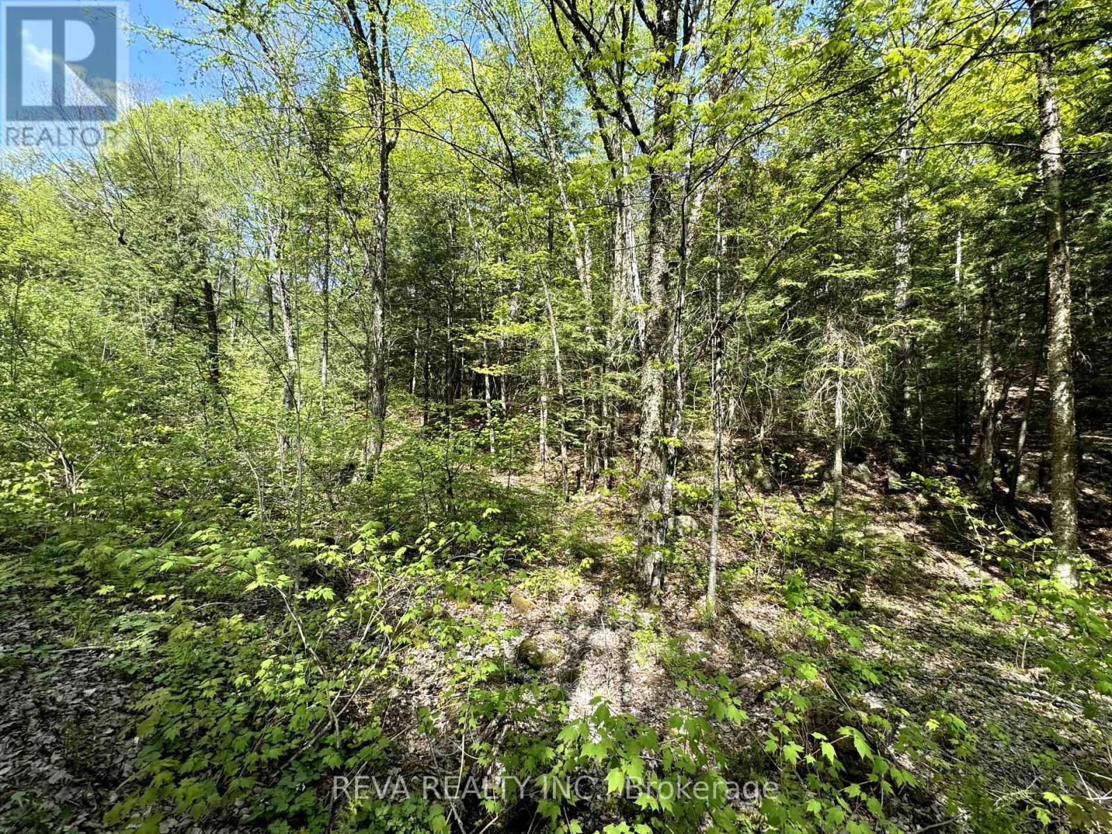 0 Salmon Trout Lake Road, Hastings Highlands, Ontario  K0L 1C0 - Photo 3 - X10406965