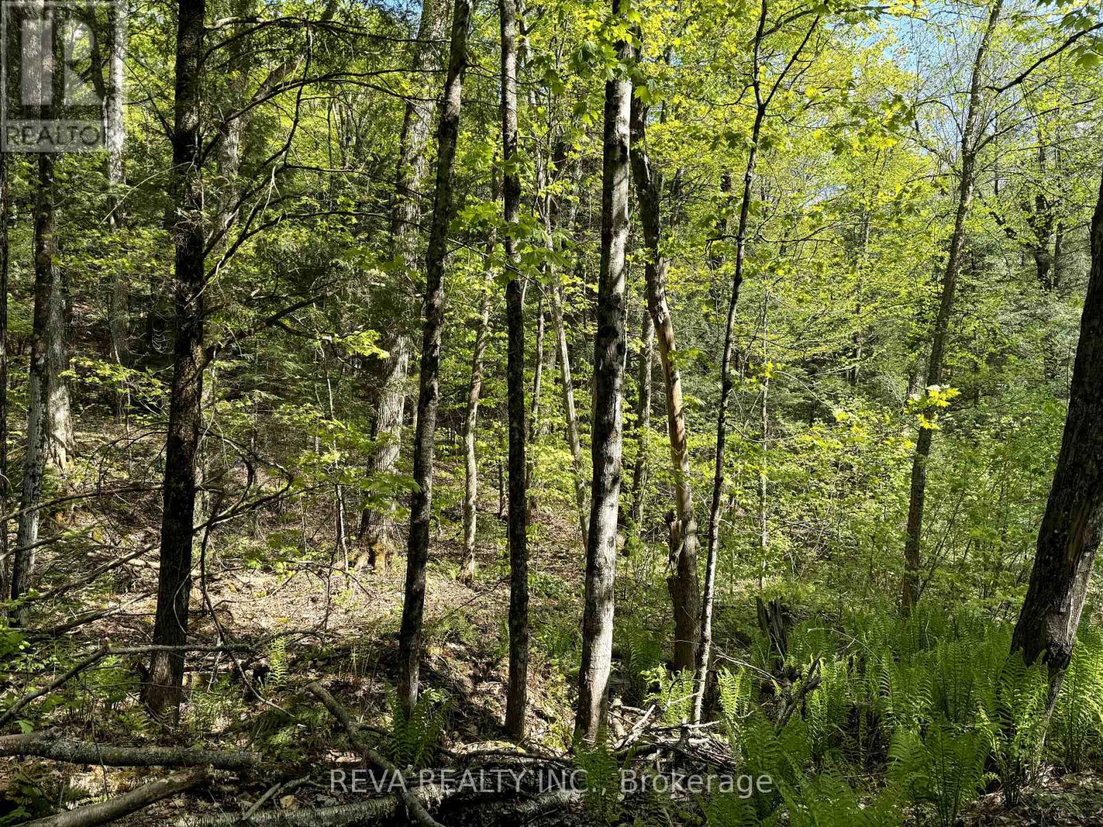 0 Salmon Trout Lake Road, Hastings Highlands, Ontario  K0L 1C0 - Photo 8 - X10406965