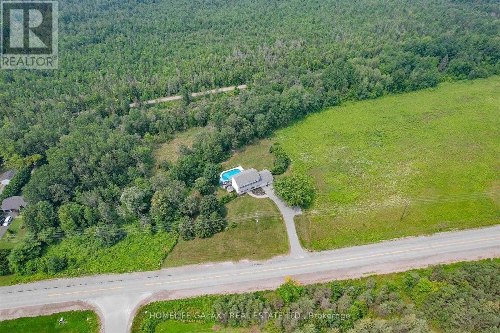 113 Ski Hill Road, Kawartha Lakes, Ontario  L0A 1A0 - Photo 20 - X10411346