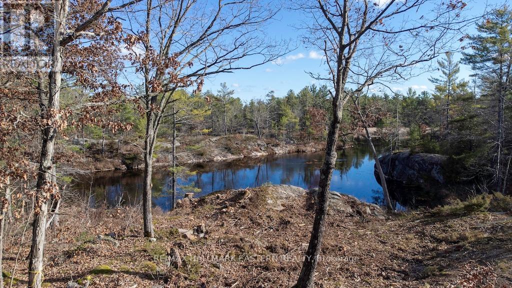 12 Fire Route 79b, Galway-Cavendish And Harvey, Ontario  K0L 1J0 - Photo 1 - X10415468