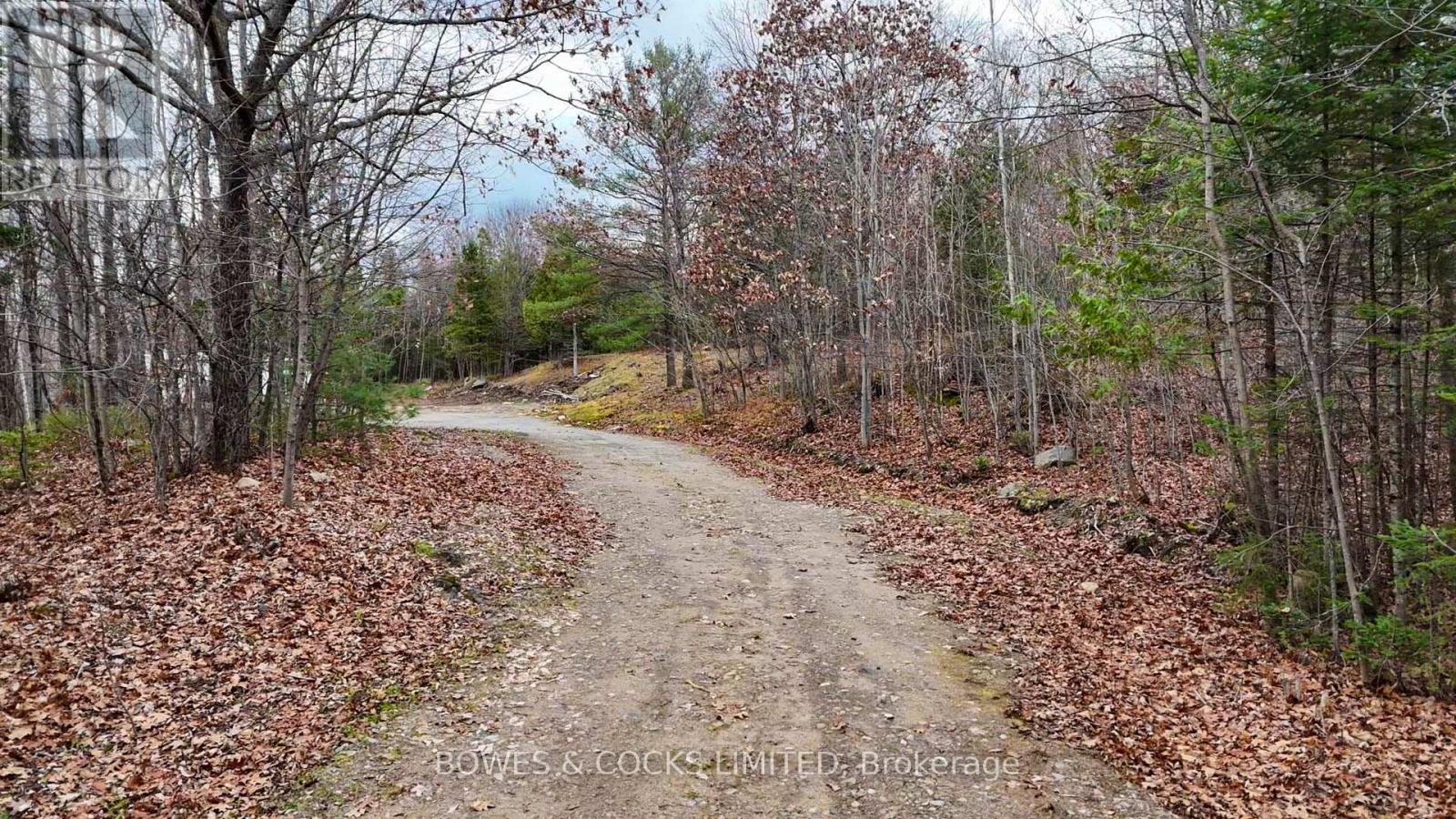 154 Little Ireland Road, Lyndoch And Raglan (572 - Brudenell/lyndoch/raglan), Ontario  K0L 2M0 - Photo 4 - X10417711