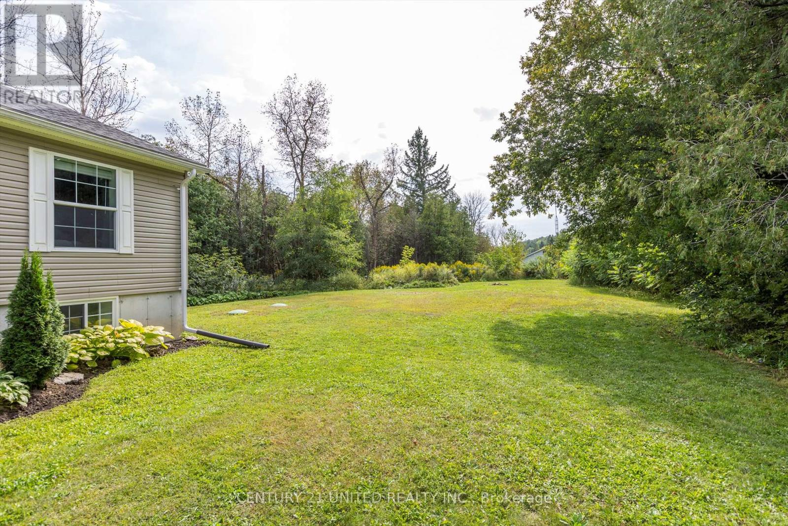 4565 Highway 7, Asphodel-Norwood, Ontario  K0L 2V0 - Photo 32 - X10420744