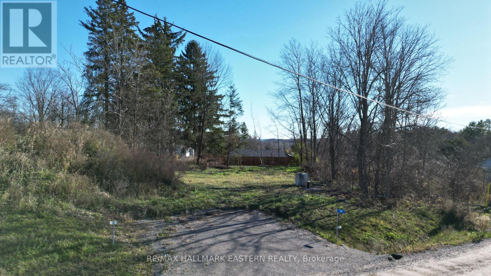 76 Windsor Avenue, Trent Hills (Campbellford), Ontario  K0L 1L0 - Photo 4 - X10424495