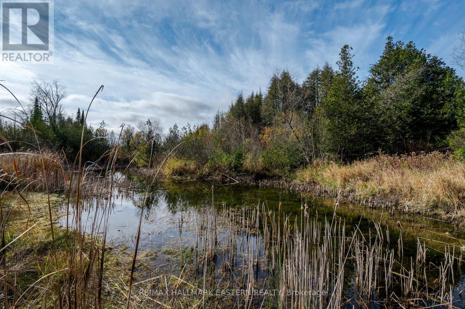 548 8th Line S Dummer Road, Douro-Dummer, Ontario  K9J 6Y1 - Photo 37 - X10425570