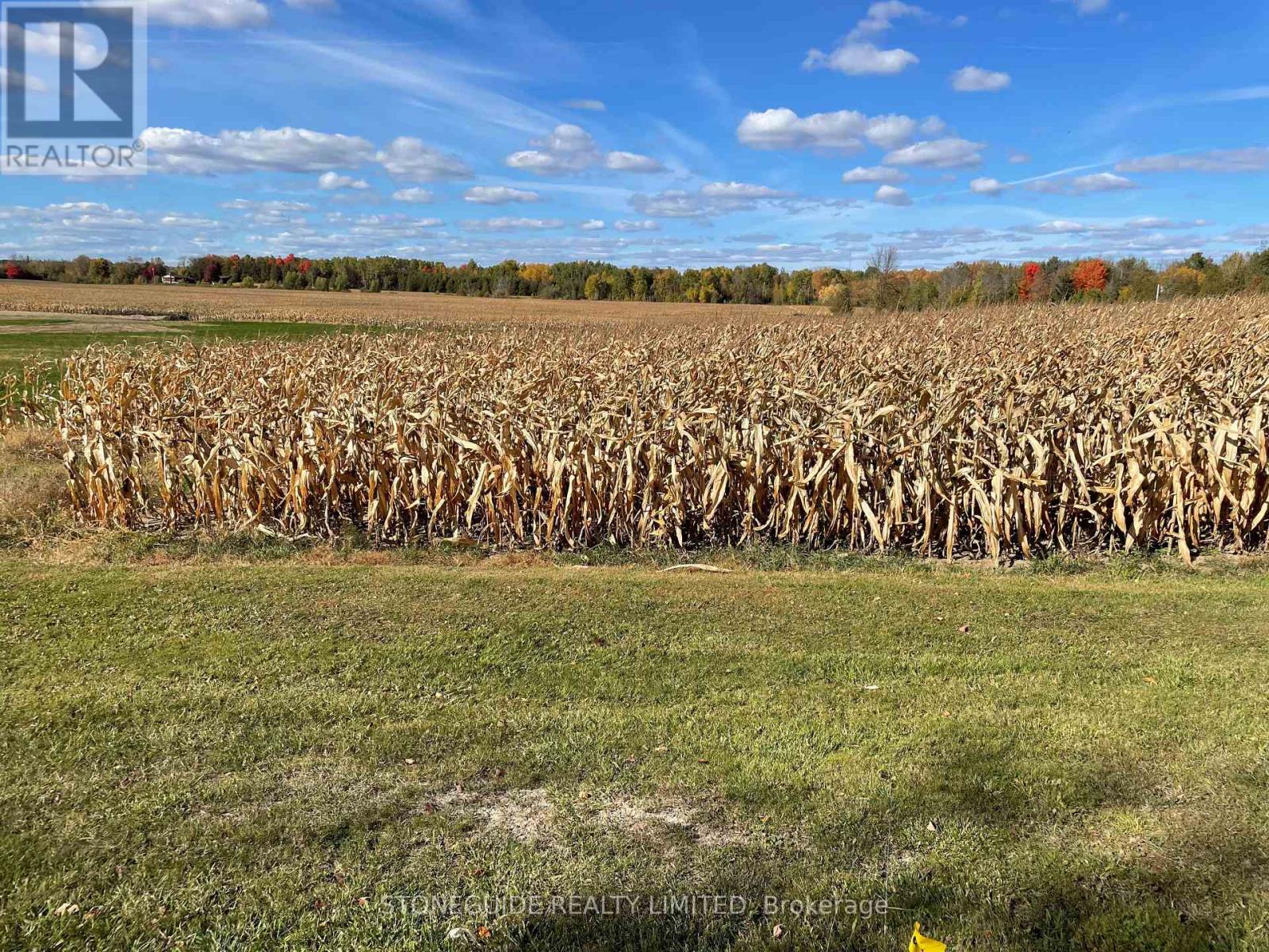 00 Assumption Road, Otonabee-South Monaghan, Ontario  K9J 6X7 - Photo 2 - X10428491