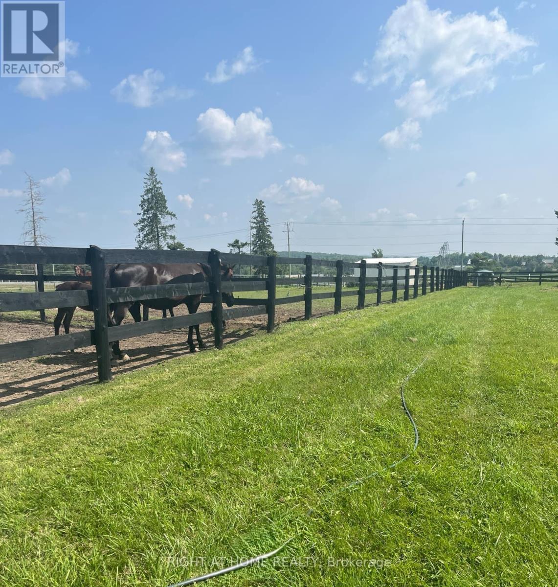 2832 Highway 7 E, Asphodel-Norwood, Ontario  K0L 2B0 - Photo 48 - X10929606