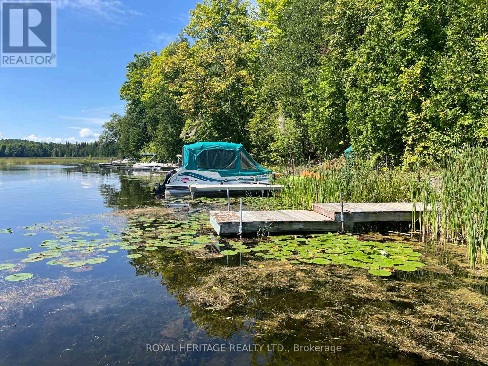 0 Sumcot Drive, Galway-Cavendish And Harvey, Ontario  K9J 6X2 - Photo 10 - X11045900