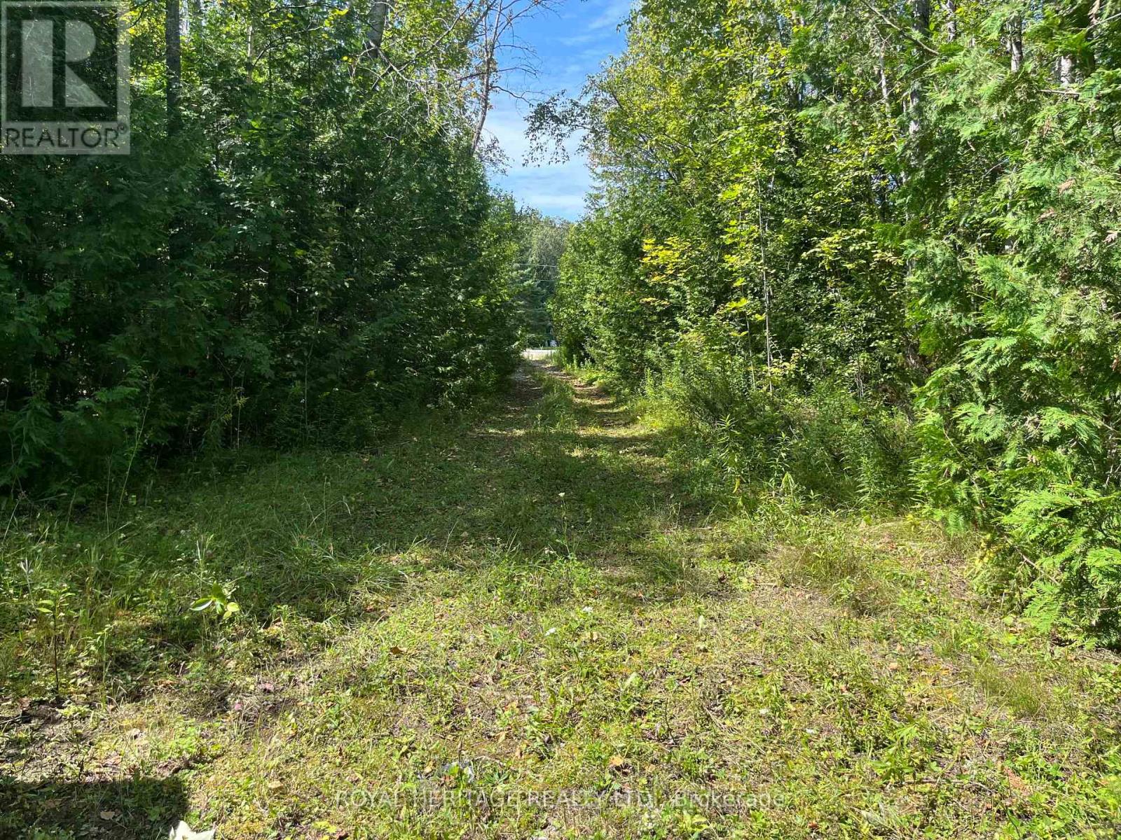 0 Sumcot Drive, Galway-Cavendish And Harvey, Ontario  K9J 6X2 - Photo 3 - X11045900