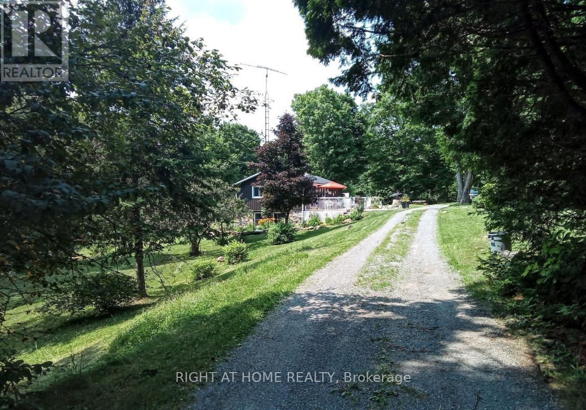 1492 County Rd 620 Road, North Kawartha, Ontario  K0L 1A0 - Photo 25 - X11175895