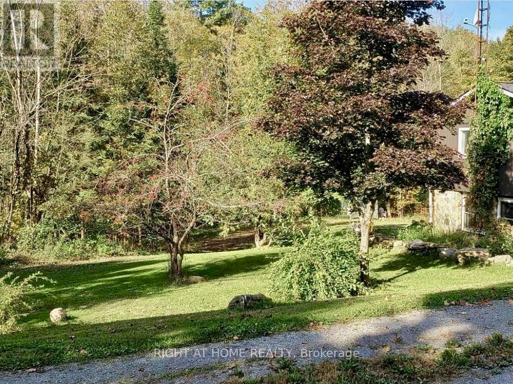 1492 County Rd 620 Road, North Kawartha, Ontario  K0L 1A0 - Photo 37 - X11175895