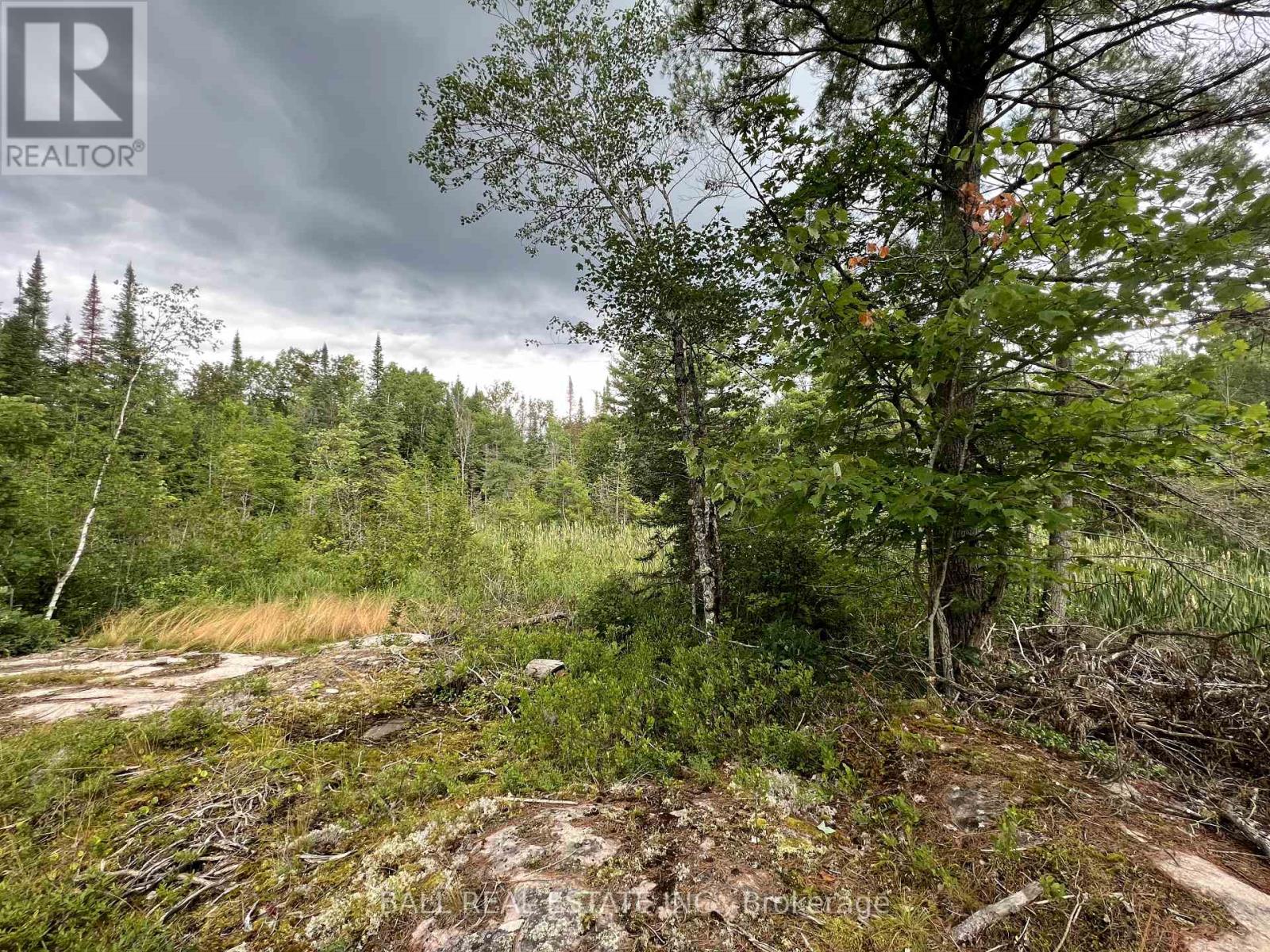 3 Fire Route 81, Galway-Cavendish And Harvey, Ontario  K0L 1J0 - Photo 11 - X11823288