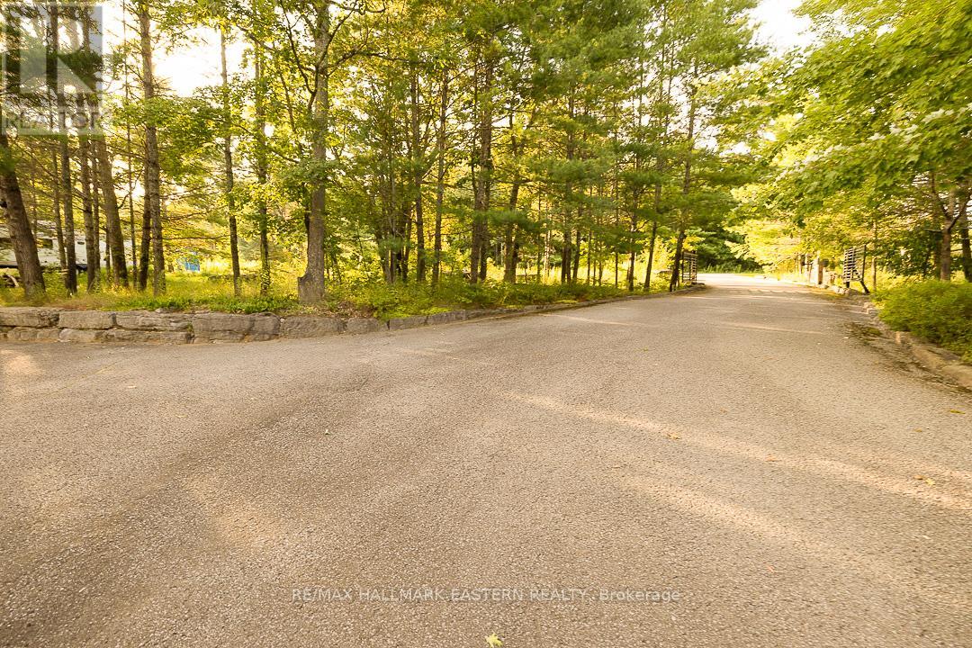 15 Oakridge Drive, North Kawartha, Ontario  K0L 3E0 - Photo 31 - X11824718