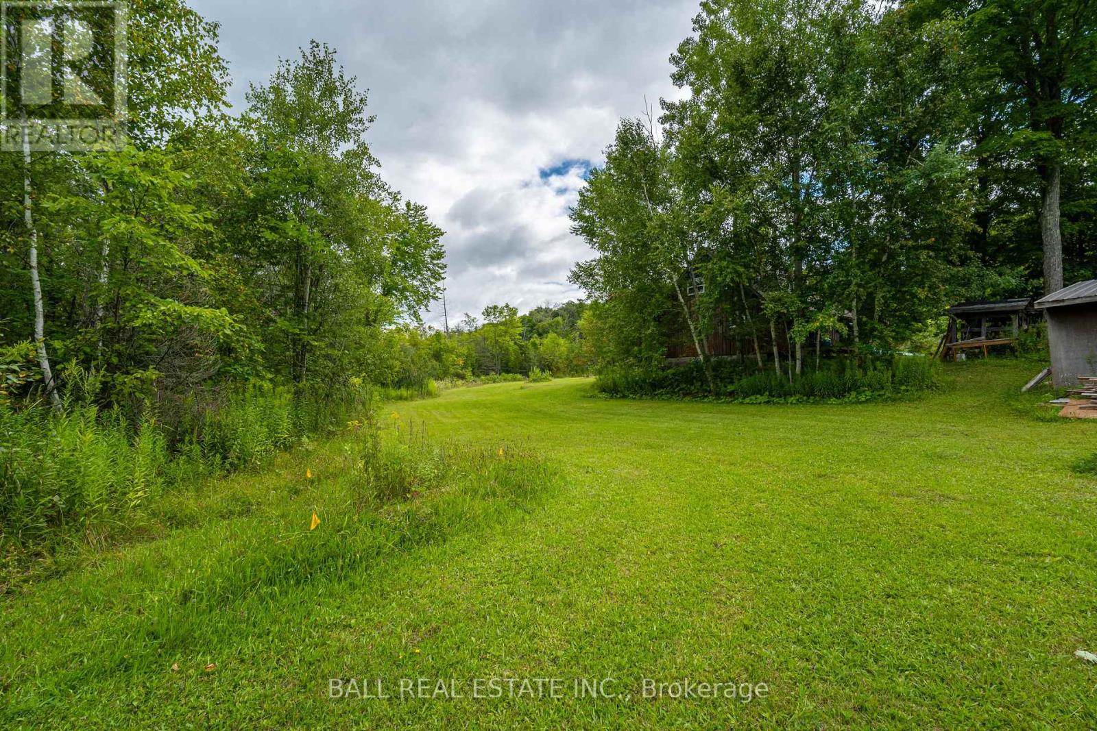 6328 Hwy 28, North Kawartha, Ontario  K0L 3G0 - Photo 26 - X11880917