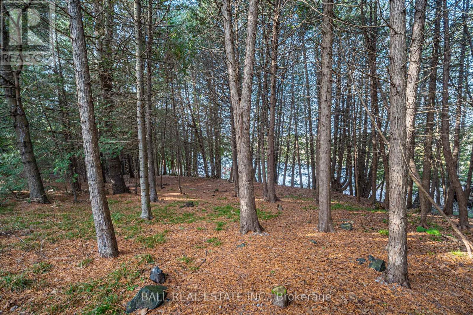 1080 Clydesdale Road, North Kawartha, Ontario  K0L 1A0 - Photo 32 - X11886424