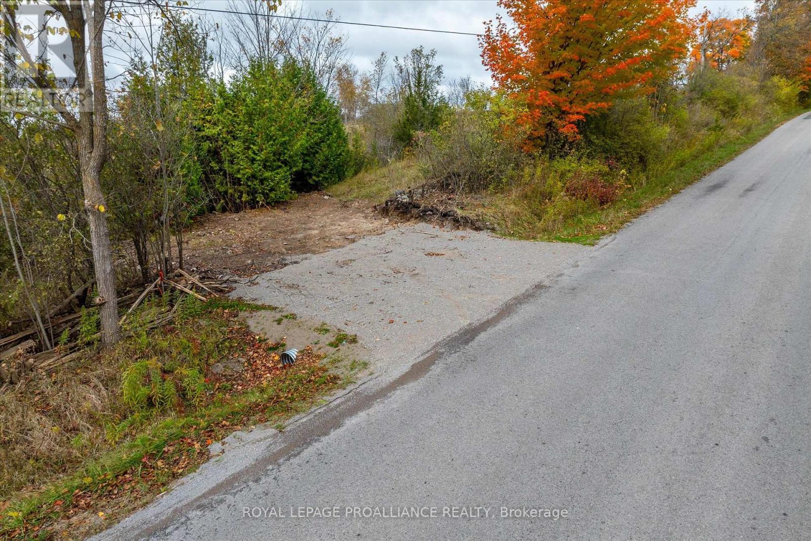 0 Centre Line, Smith-Ennismore-Lakefield, Ontario  K0L 2H0 - Photo 21 - X11886719