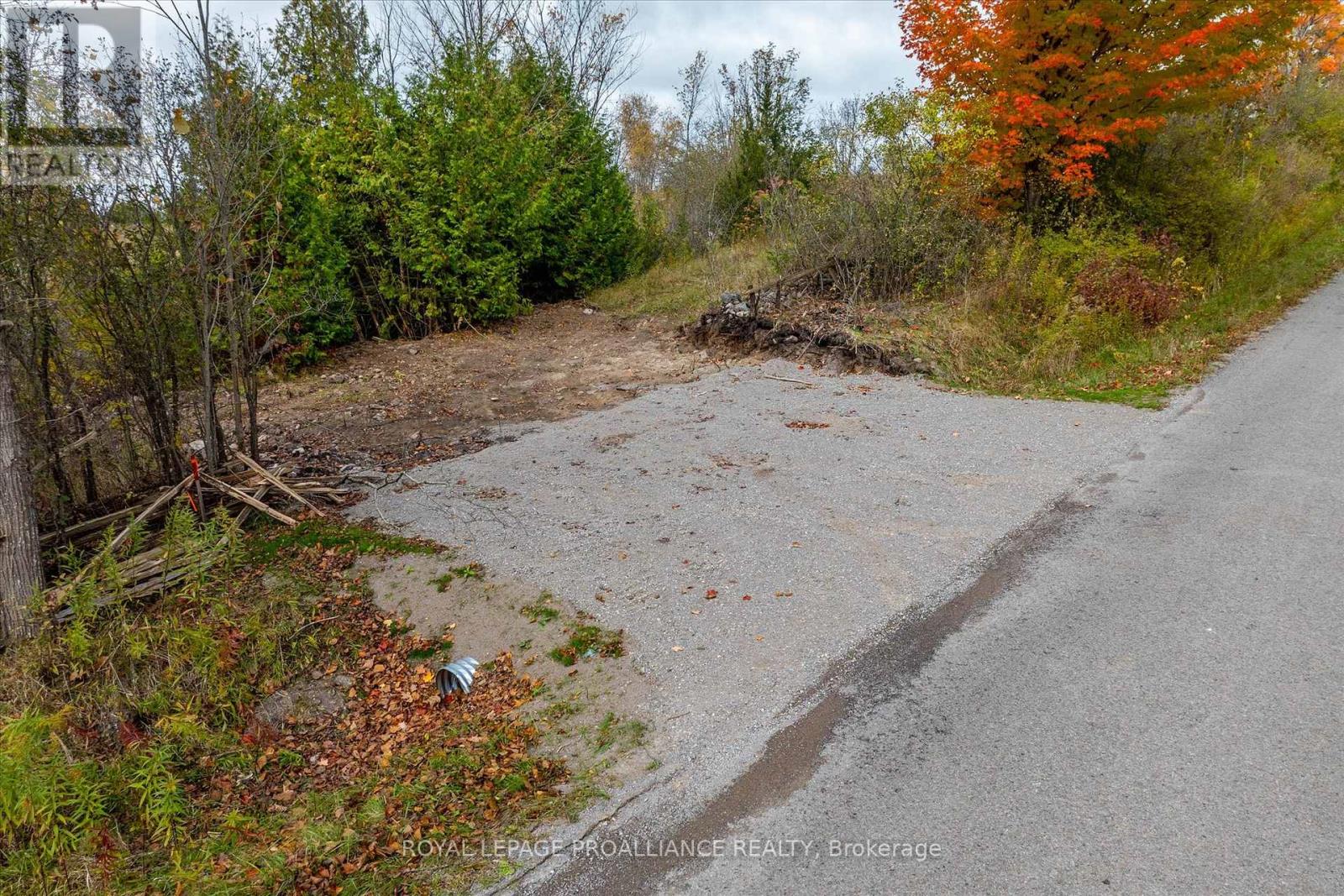 0 Centre Line, Smith-Ennismore-Lakefield, Ontario  K0L 2H0 - Photo 22 - X11886719