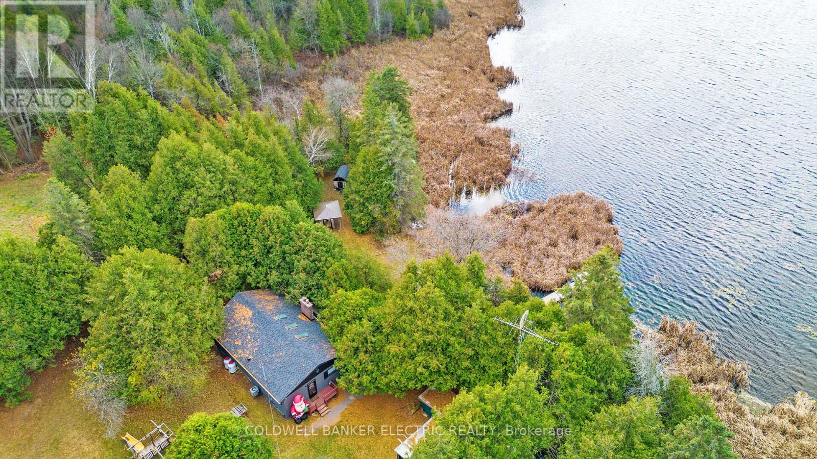 81 Shelter Bay Street, Kawartha Lakes, Ontario  K0L 2W0 - Photo 34 - X10416004