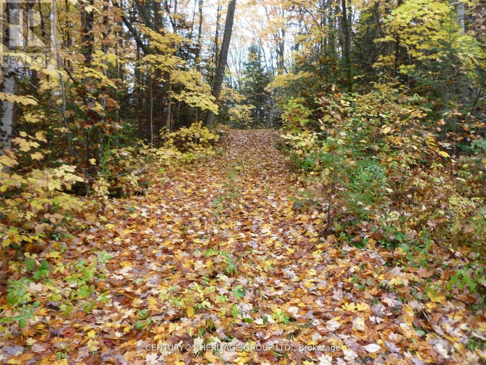 Pt Lt 8 Con 7 Highlands East Acres, Highlands East, Ontario  K0L 2Y0 - Photo 1 - X11914411