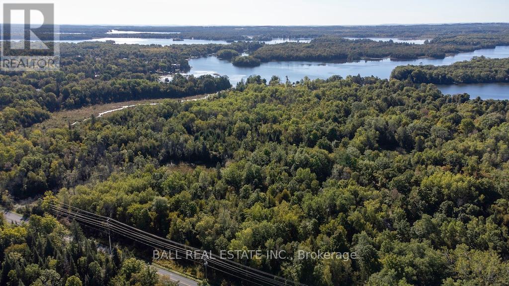 0 Trent River Road, Trent Hills, Ontario  K0L 2Z0 - Photo 9 - X11916962