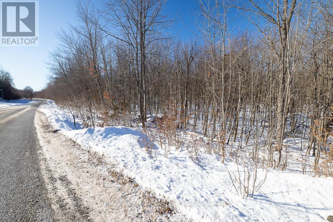 1030 Birchview Road, Douro-Dummer, Ontario  K0L 2H0 - Photo 7 - X11920772