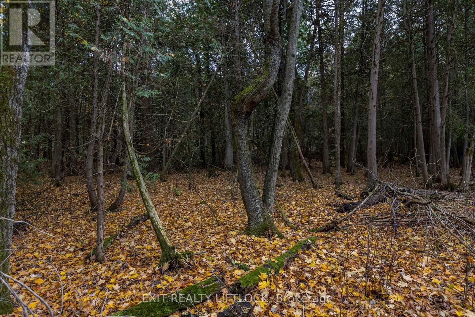 51 Buckhorn Narrows Road, Galway-Cavendish And Harvey, Ontario  K0L 1J0 - Photo 25 - X11923951