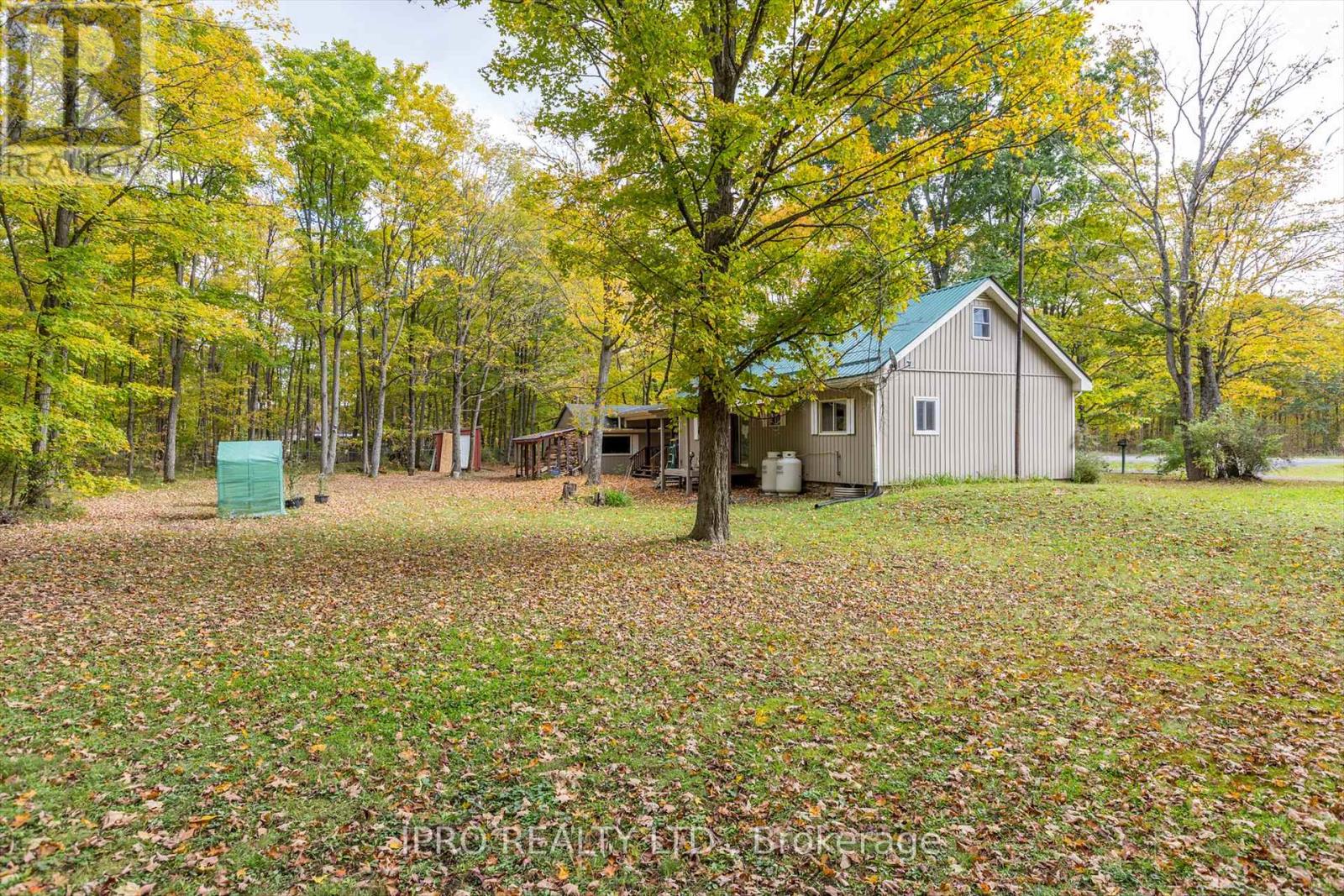 3857 County Rd 36 Road, Galway-Cavendish And Harvey, Ontario  K0L 1J0 - Photo 36 - X11932991