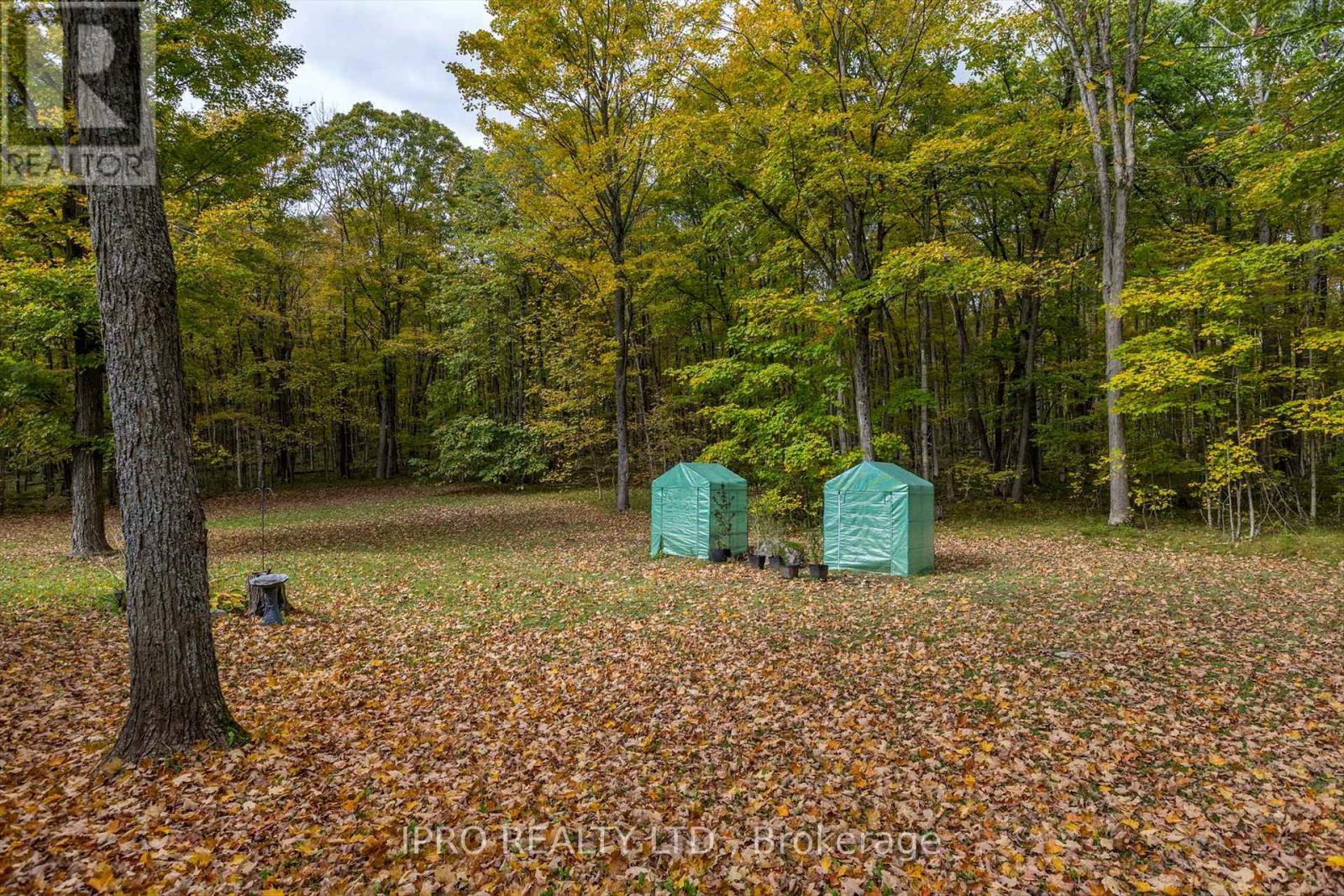 3857 County Rd 36 Road, Galway-Cavendish And Harvey, Ontario  K0L 1J0 - Photo 37 - X11932991