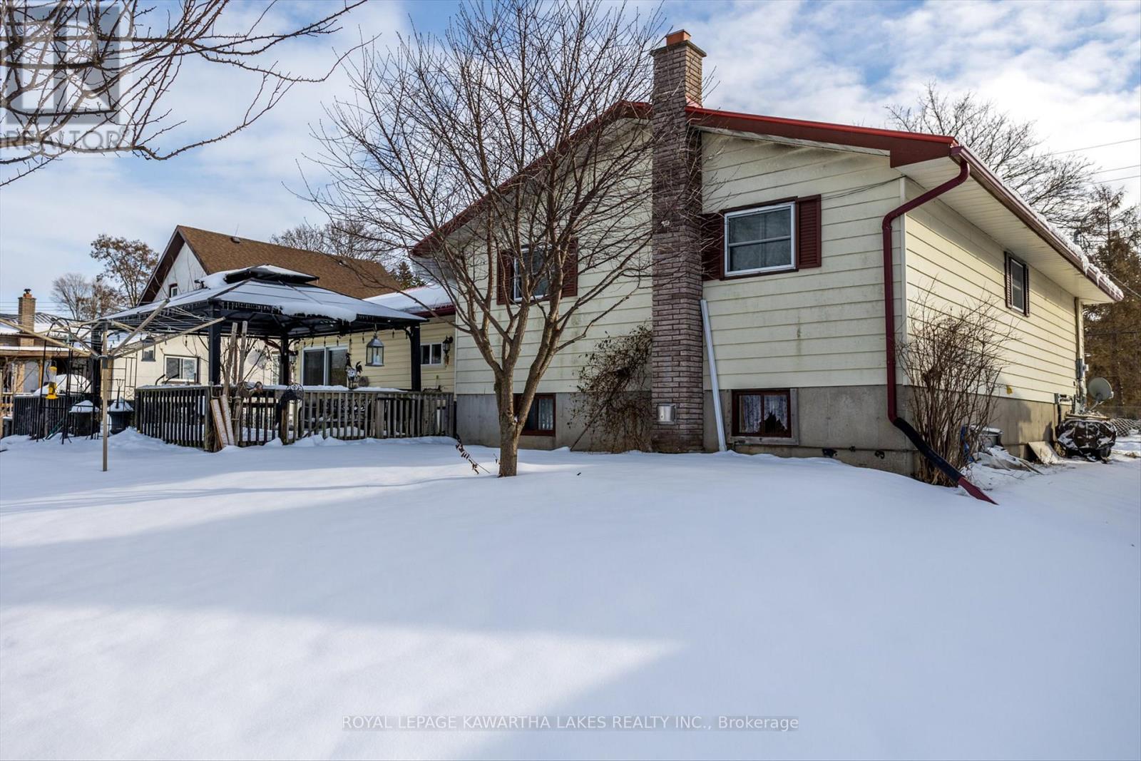 16 Mary Street W, Kawartha Lakes (Lindsay), Ontario  K9V 2N4 - Photo 38 - X11933498