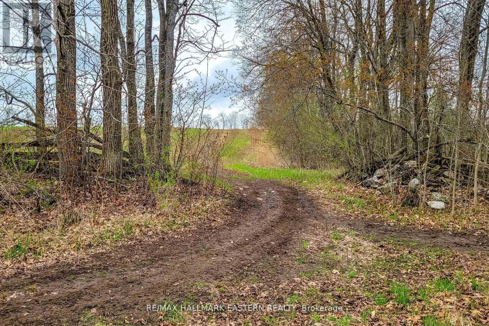 1737 Thirteenth Line, Smith-Ennismore-Lakefield, Ontario  K0L 2H0 - Photo 20 - X11950960