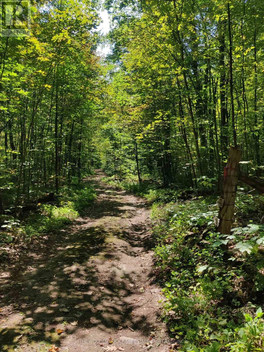 0east2 Road Allowance Road, Havelock-Belmont-Methuen, Ontario  K0L 1Z0 - Photo 1 - X11953175