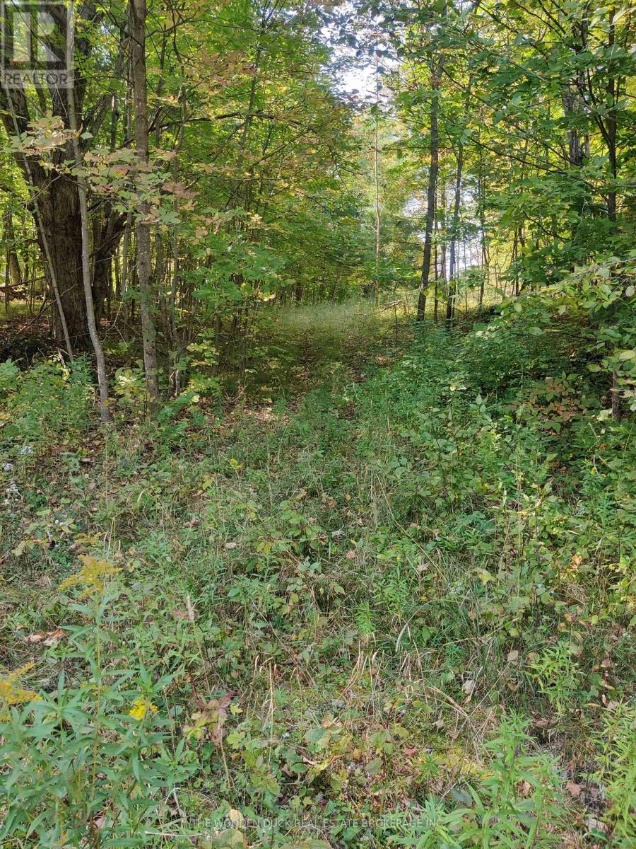 0west Road Allowance Road, Havelock-Belmont-Methuen, Ontario  K0L 1Z0 - Photo 4 - X11953185