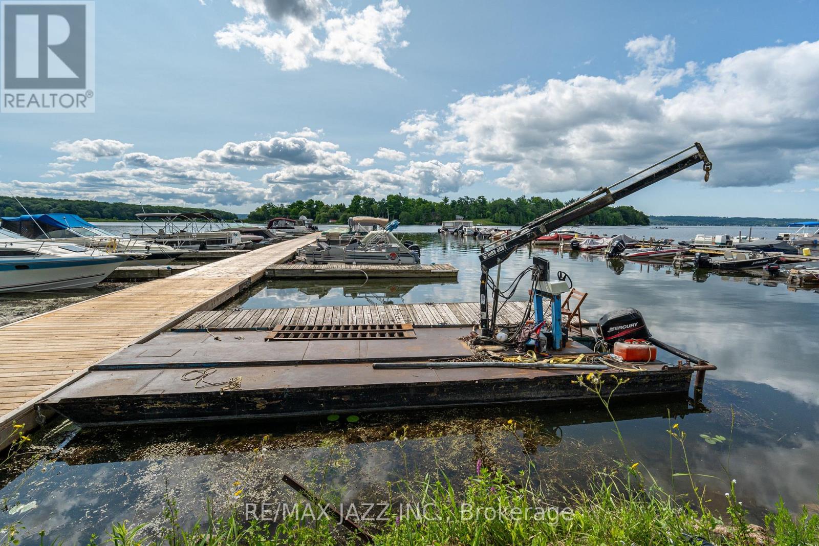 1087 Islandview Drive, Otonabee-South Monaghan, Ontario  K0L 1B0 - Photo 20 - X11954089