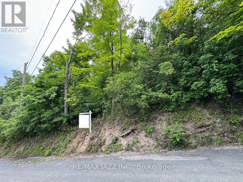 0 Maple Street, Trent Hills (Campbellford), Ontario  K0L 1L0 - Photo 1 - X11958543