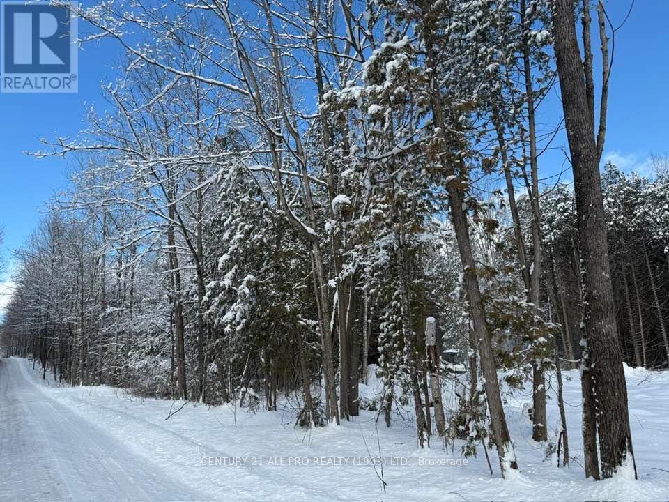 Lot 100 Baxter Road, Trent Hills, Ontario  K0L 1Y0 - Photo 12 - X11960378